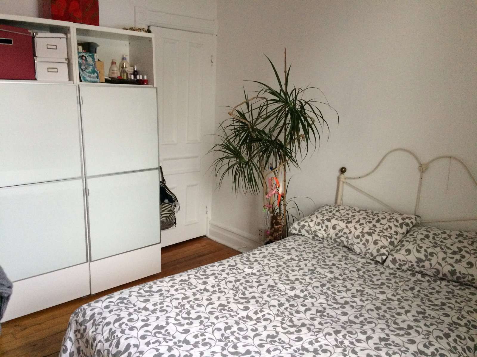 Famiglia Montréal 189262