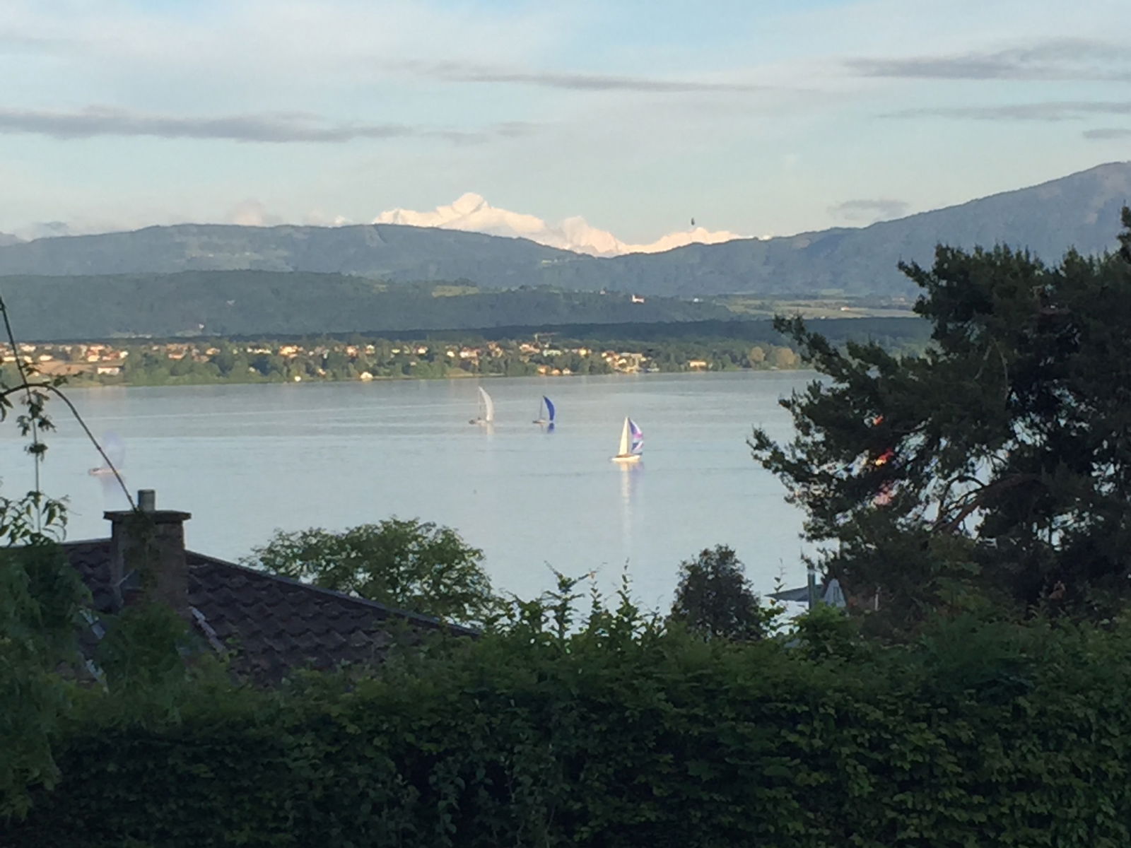 Collocazione Nyon 181602