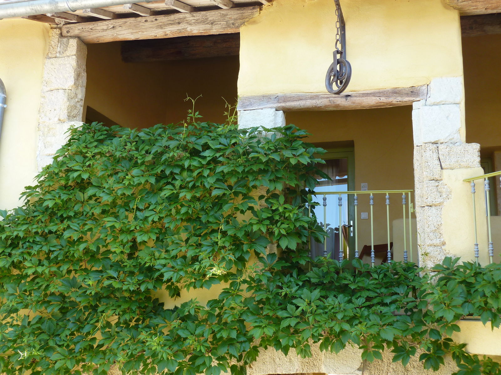 Collocazione Vergèze 238826