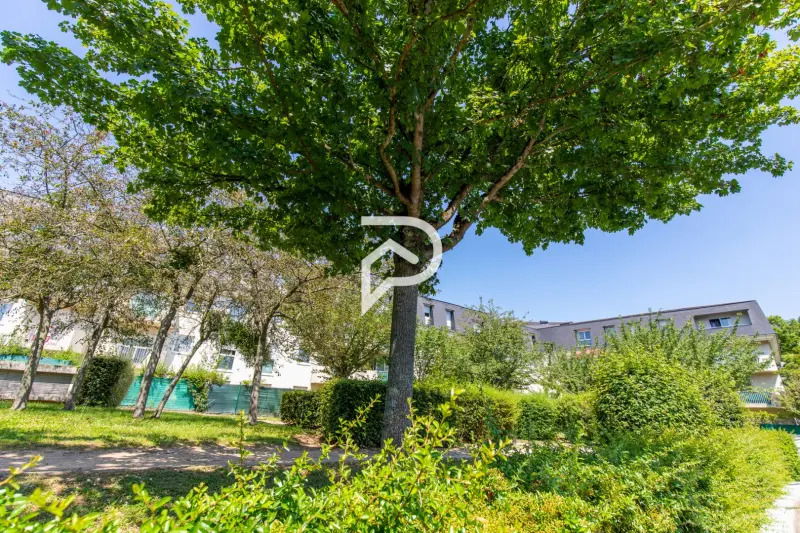 Collocazione Massy 255359