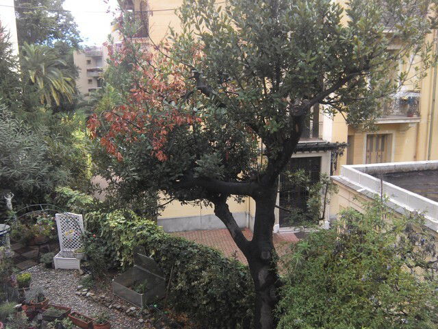 Tutta La Casa Nice 61102