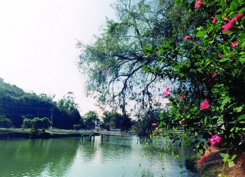 Estudio Independiente Rio de Janeiro 162174