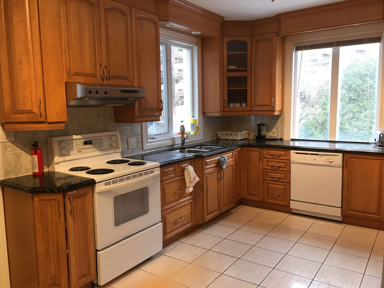 Colocación Montréal 256874