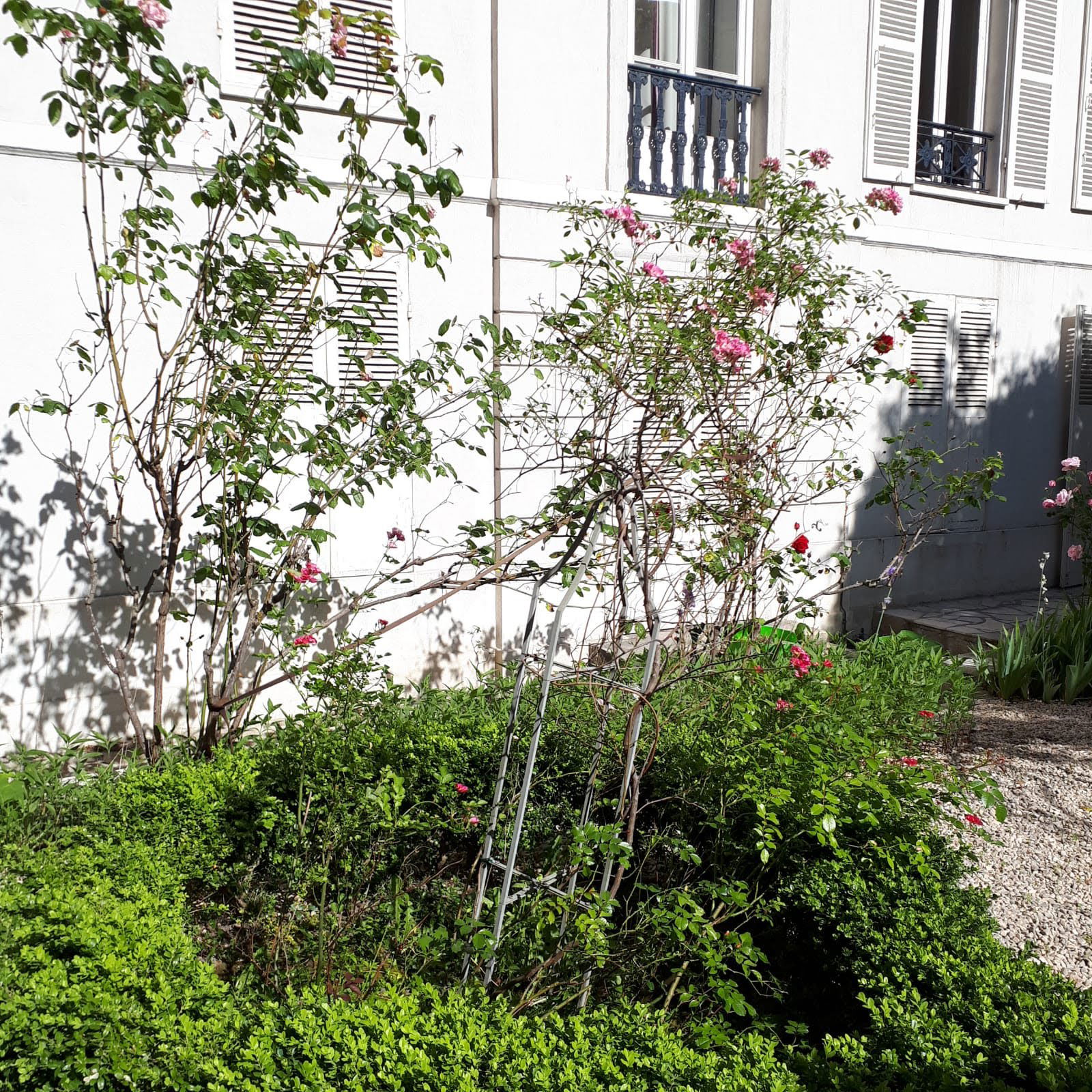 Colocación Melun 258830