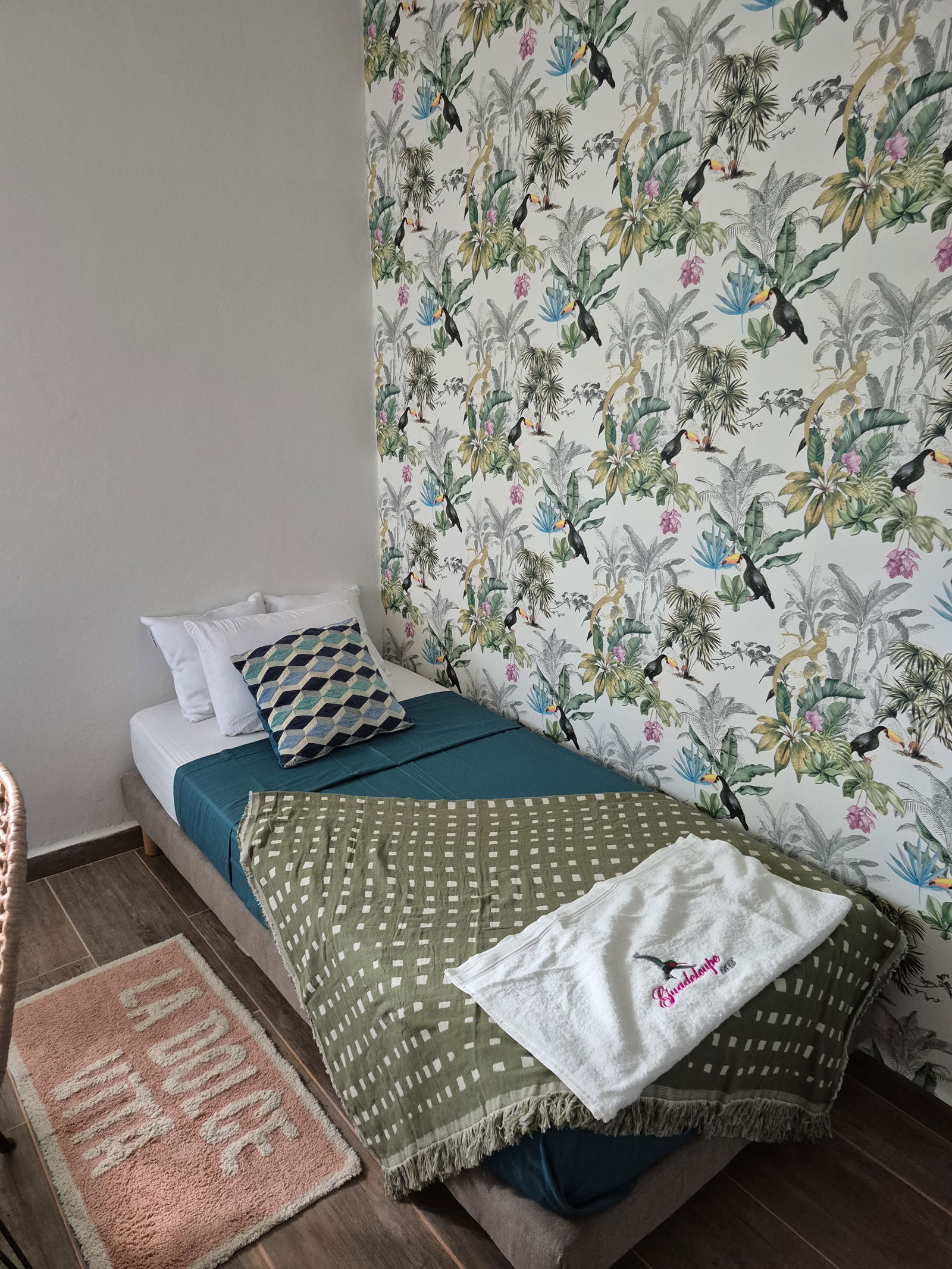 Toda La Casa Basse-Terre 657181