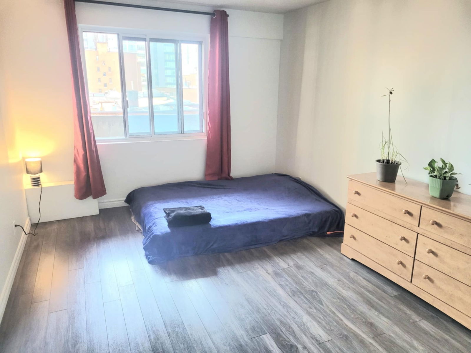 Estudio Independiente Montréal 446495