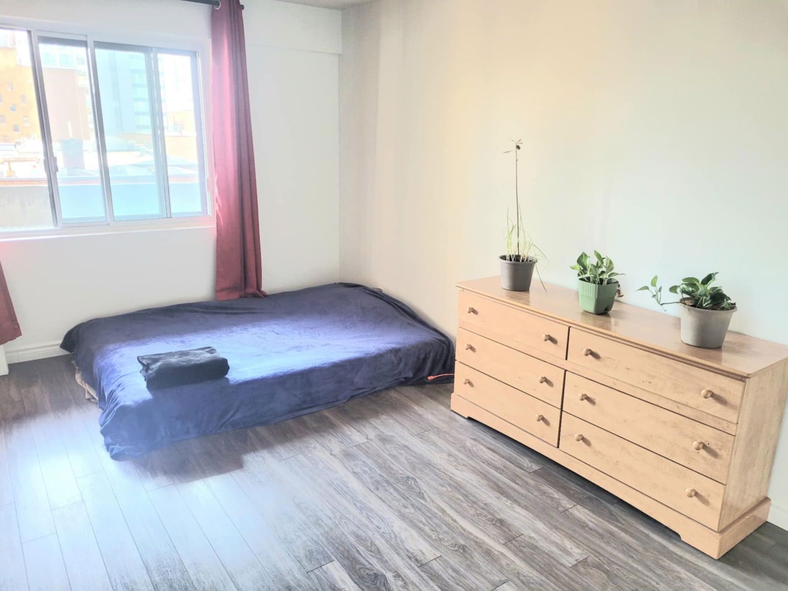 Estudio Independiente Montréal 446495
