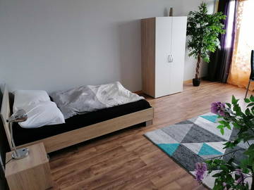 Chambre À Louer Mulhouse 231233