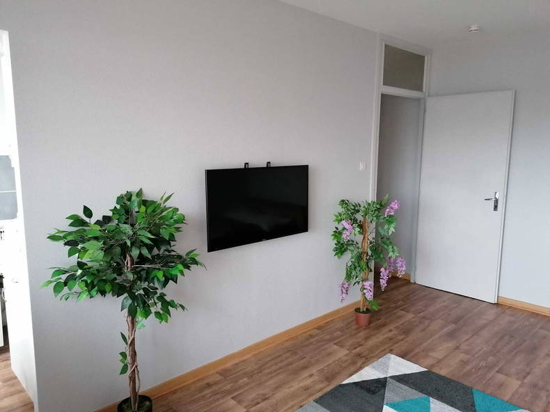 Logement Entier Mulhouse 231233-2