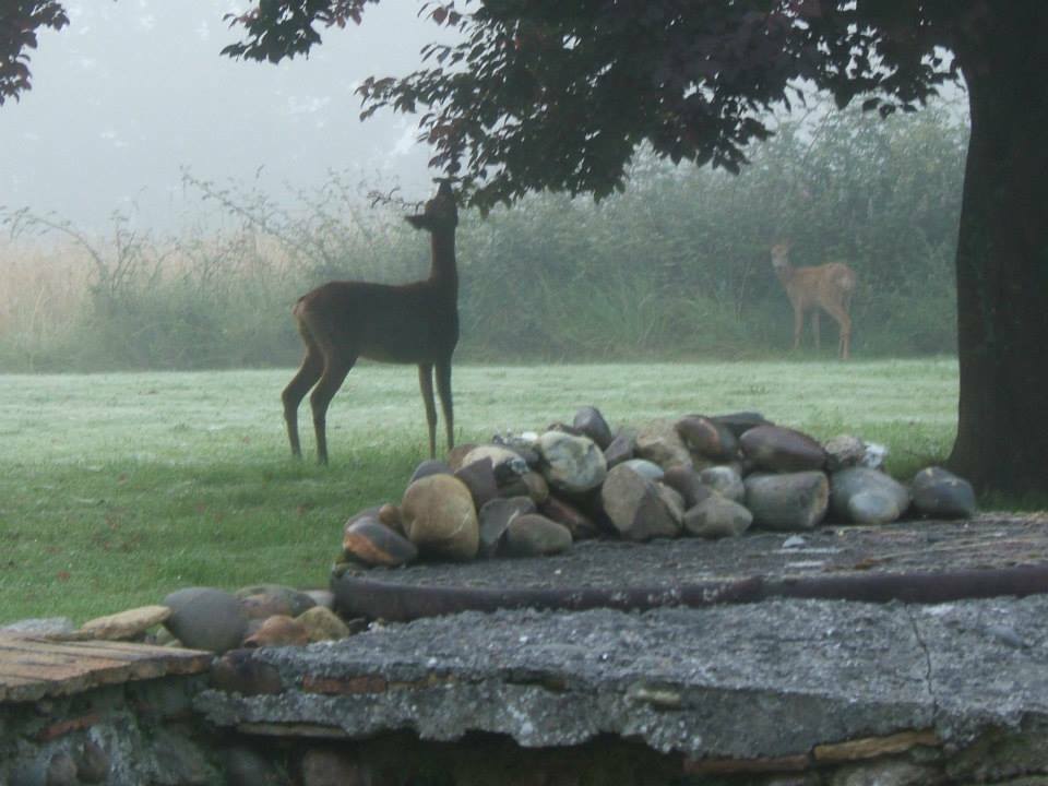 Bed And Breakfast Morlanne 166054