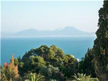 Homestay Carthage 169229