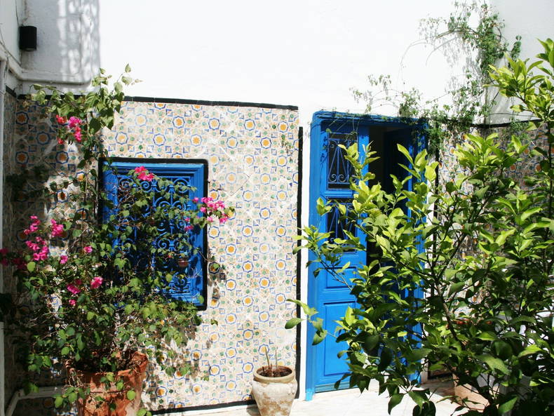 Chambre Chez L'habitant Carthage 169229-5