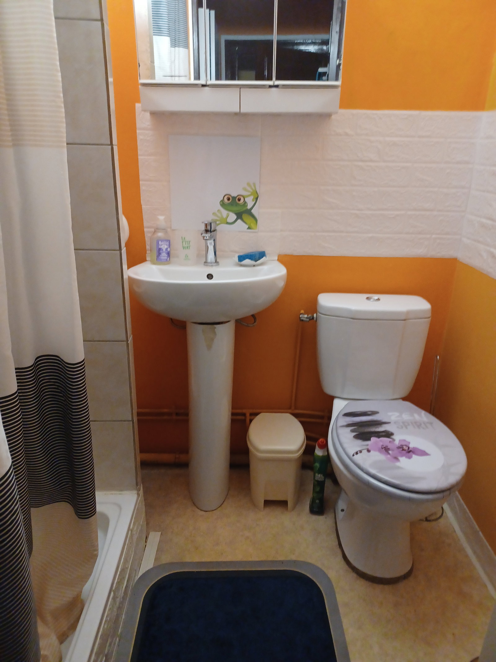 Gesamte Unterkunft Vichy 40987