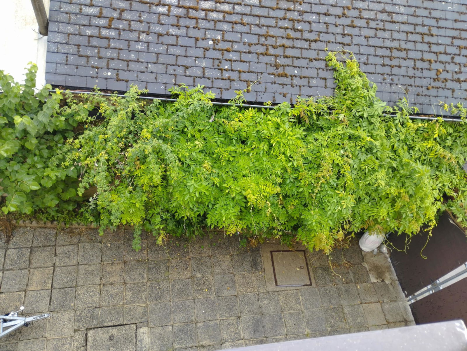 Gastfamilie Wavre 555463