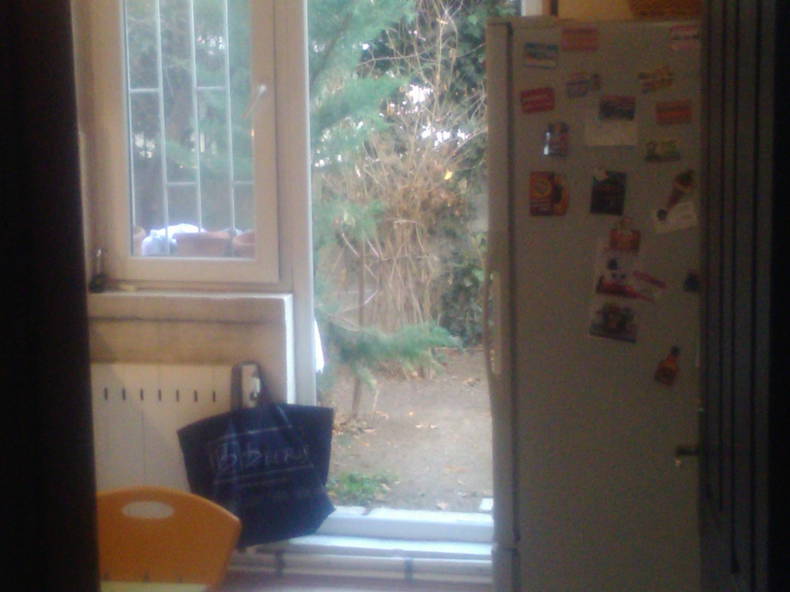 Colocation Çankaya 244943-4