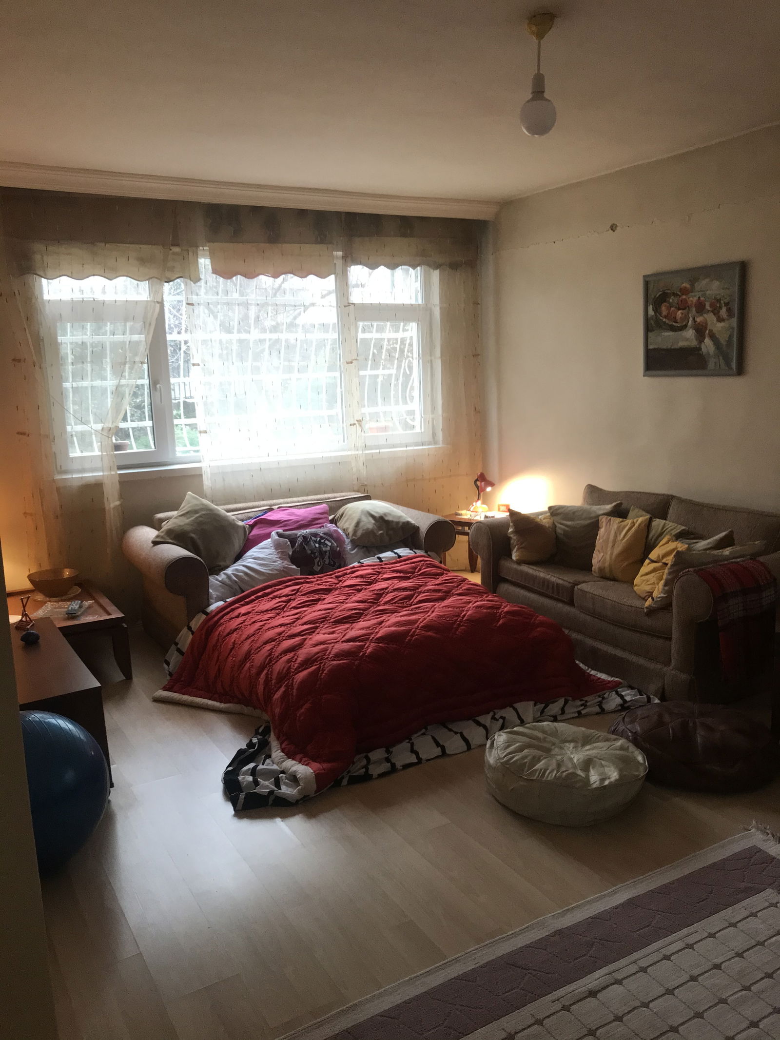 Colocación Çankaya 244943