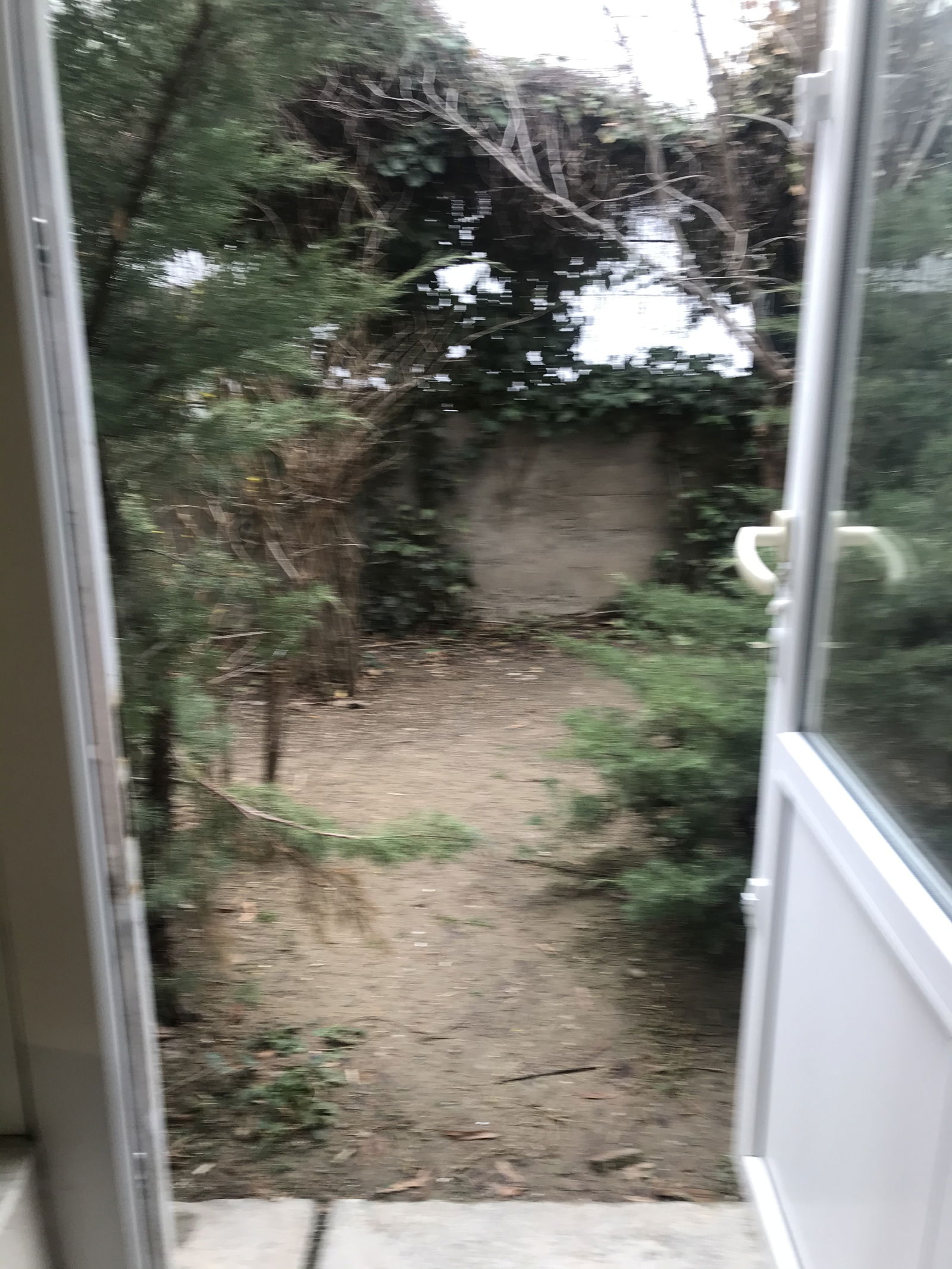 Colocación Çankaya 244943
