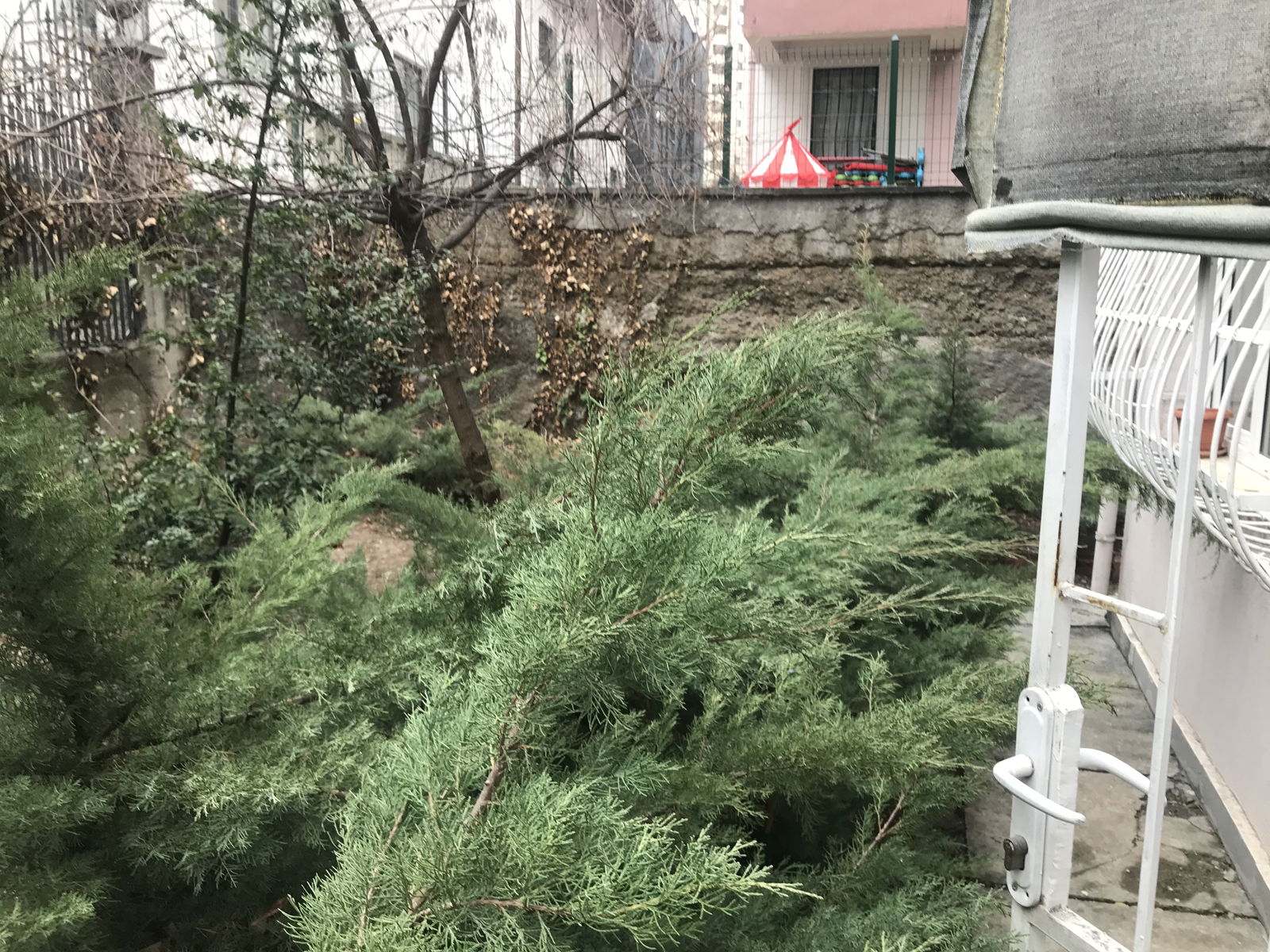 Colocación Çankaya 244943