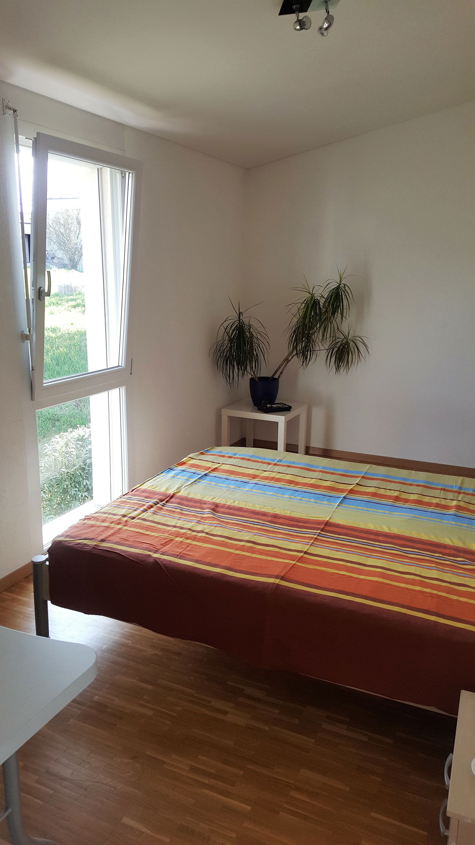 Gastfamilie Bulle 131577