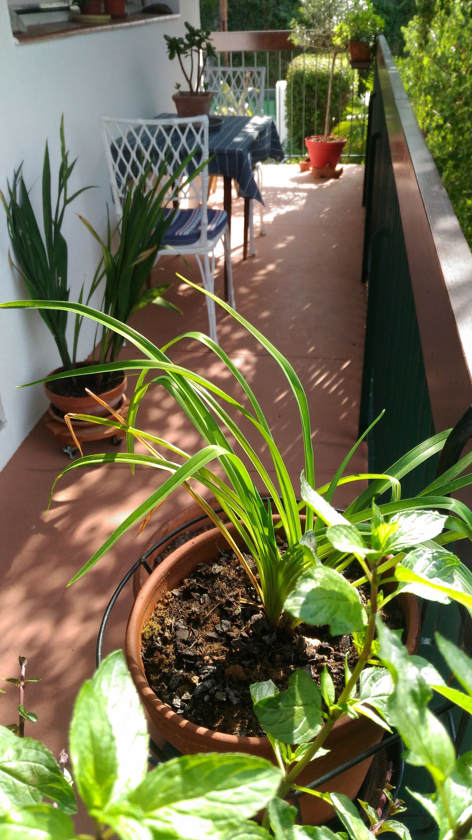 Quartos De Hóspedes Vernet-les-Bains 181361