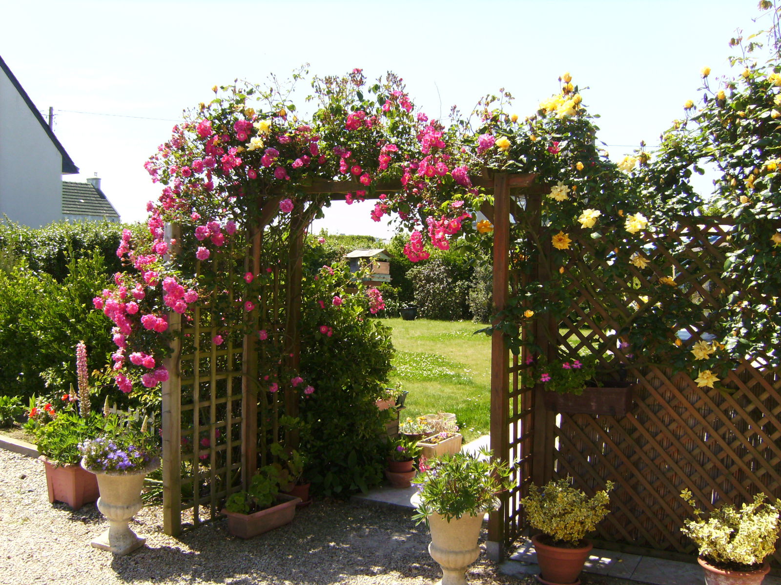 Estudio Independiente Plounéour-Brignogan-plages 259432