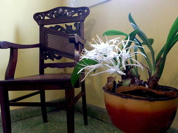 Quedarse En Casa Santa Clara 172506-9