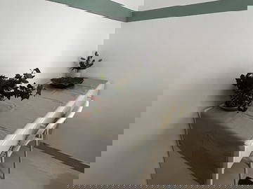 Homestay São João Da Talha 663439-5