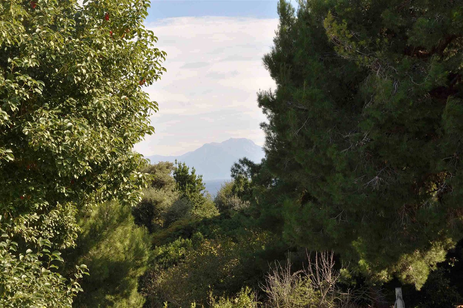 Niezależne Studio Napoli 155683