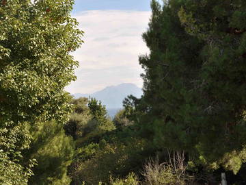 Logement Entier Napoli 155683-12