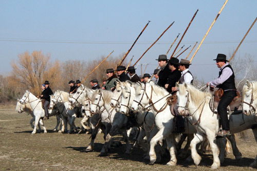 Niezależne Studio Le Grau-du-Roi 99344