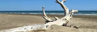 Niezależne Studio Le Grau-du-Roi 99344