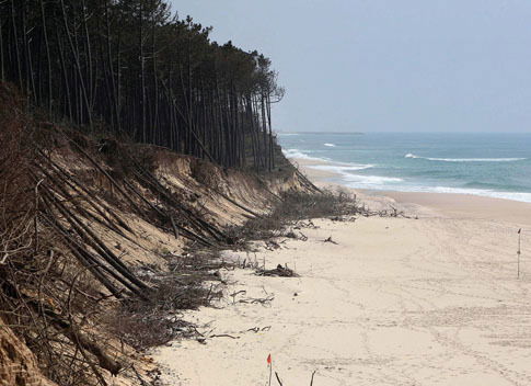 Niezależne Studio Esmoriz 102979