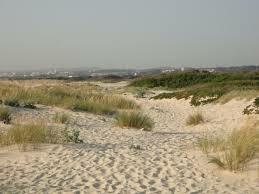 Niezależne Studio Esmoriz 102979