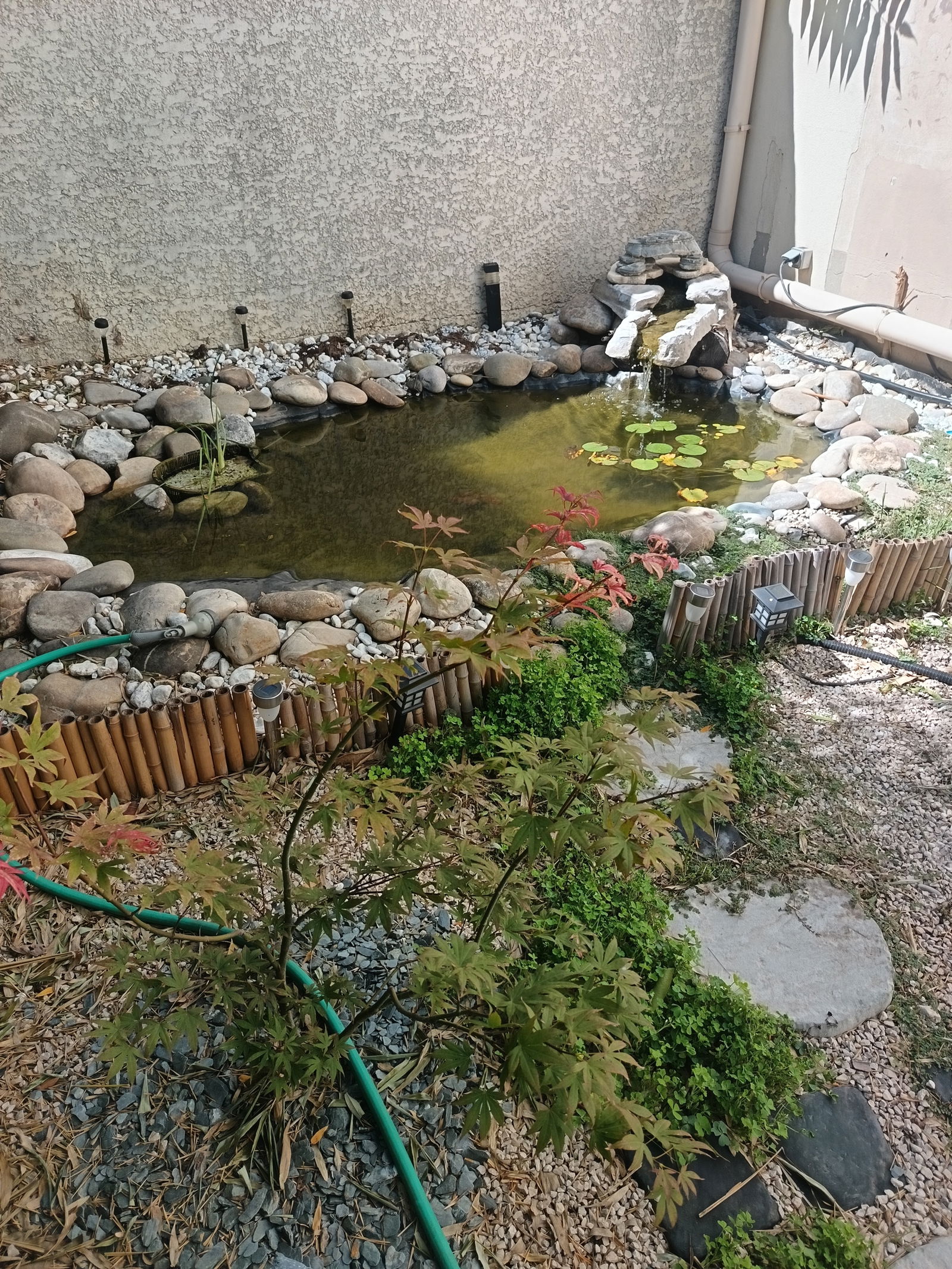 Zakwaterowanie U Rodziny Le Pontet 266044