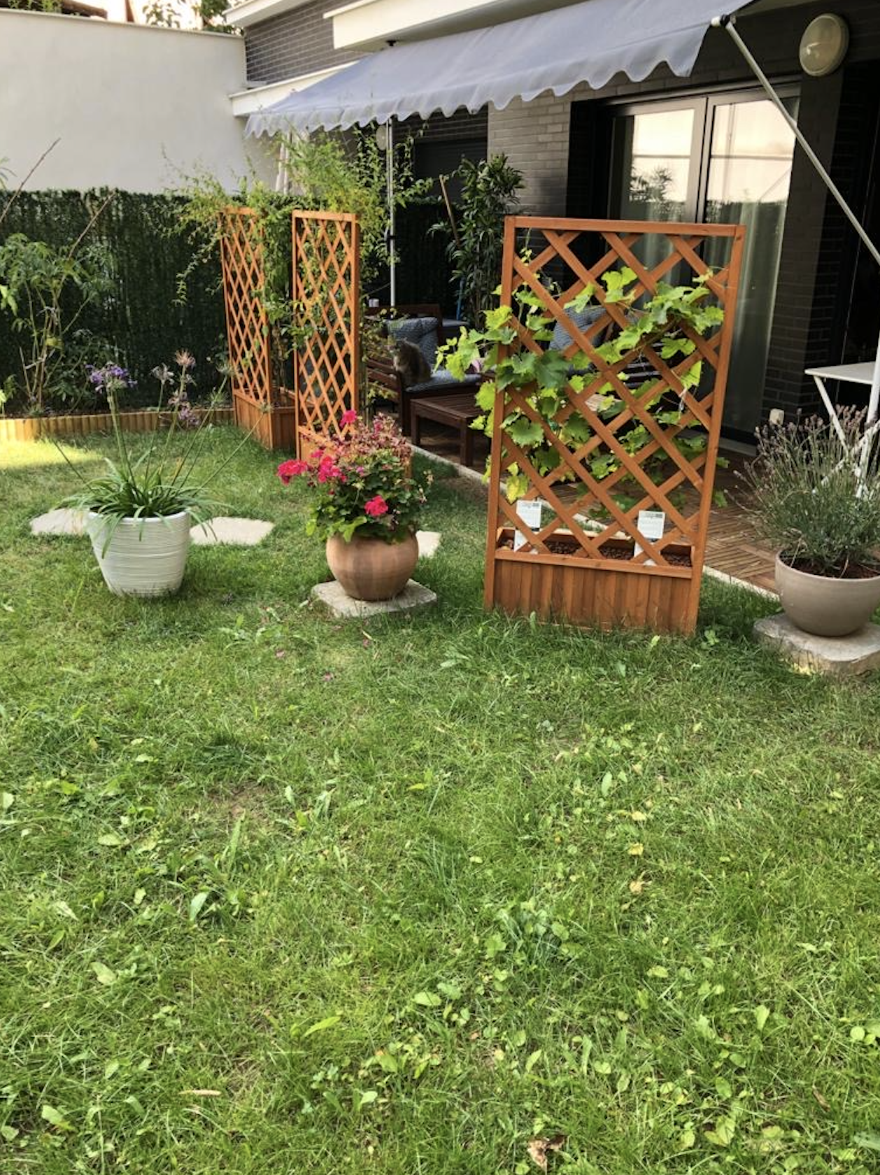 Niezależne Studio Thiais 243190