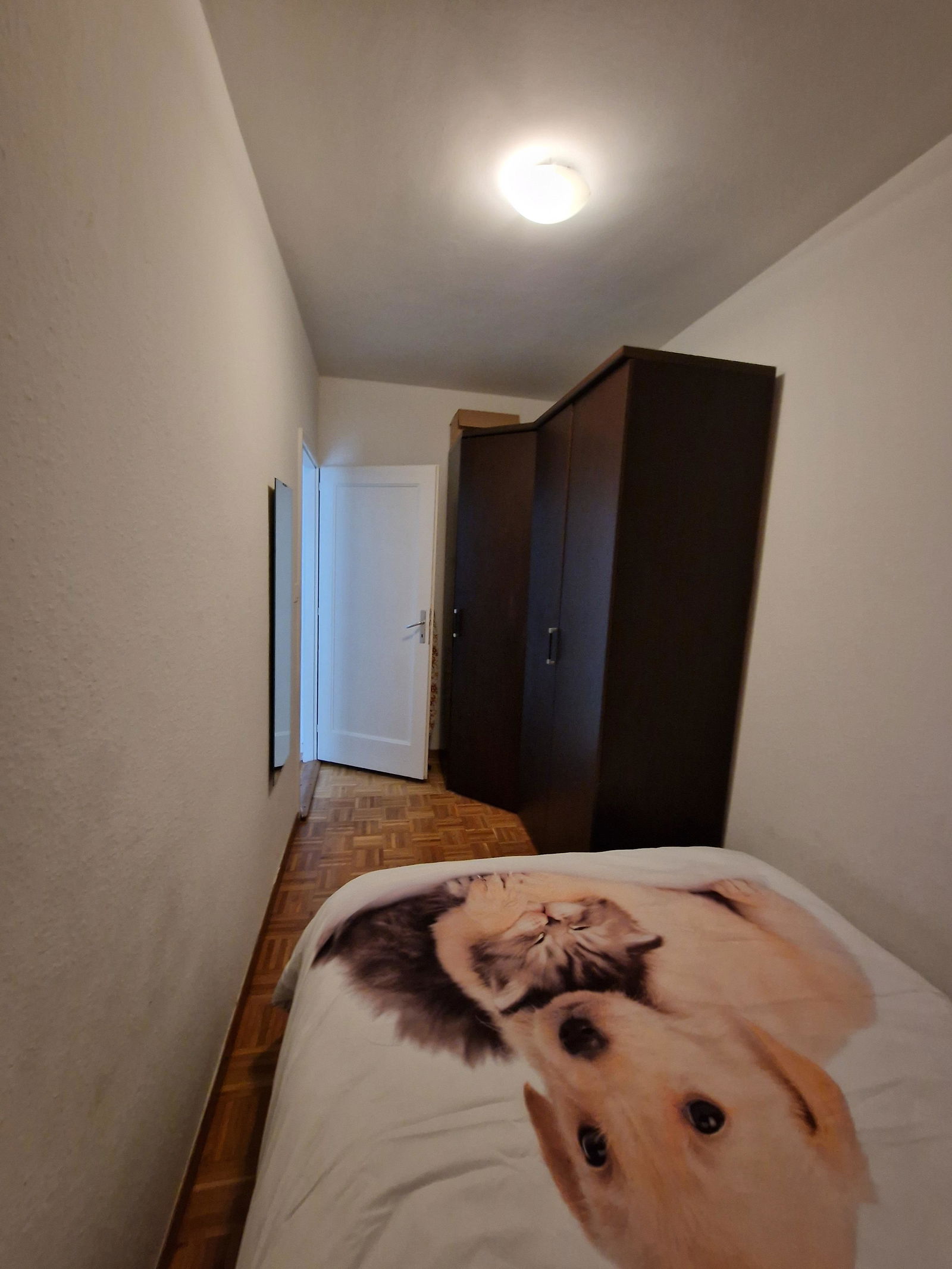 Estudio Independiente Genève 261777