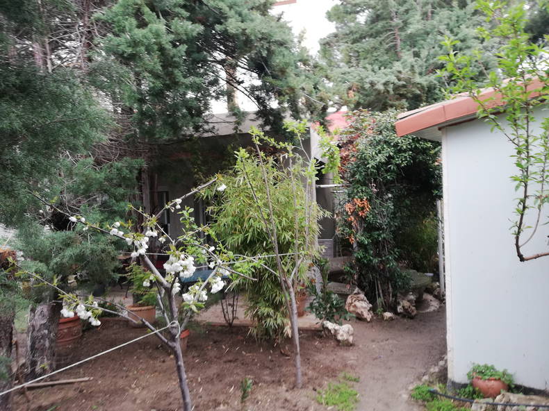 Casa Inteira Villaviciosa de Odón 173503-1