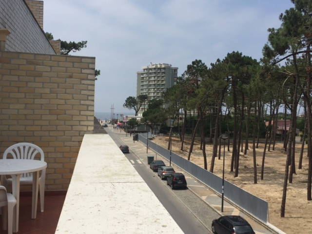 Gastfamilie Fão 208071-1