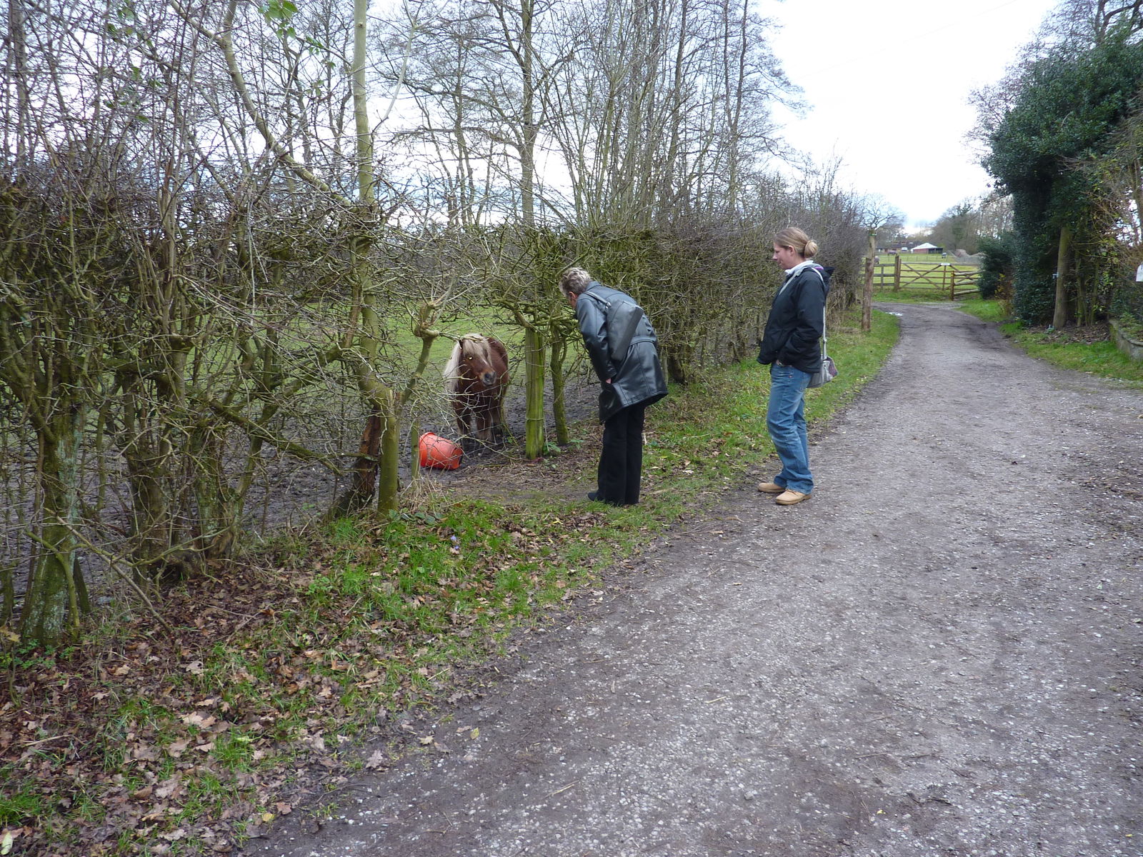 Hospedagem Em Casa De Família England 165132