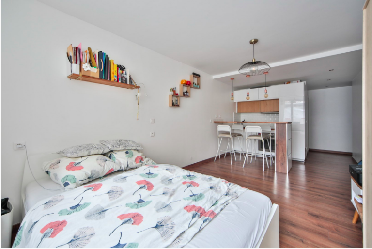 Estudio Independiente Paris 246995