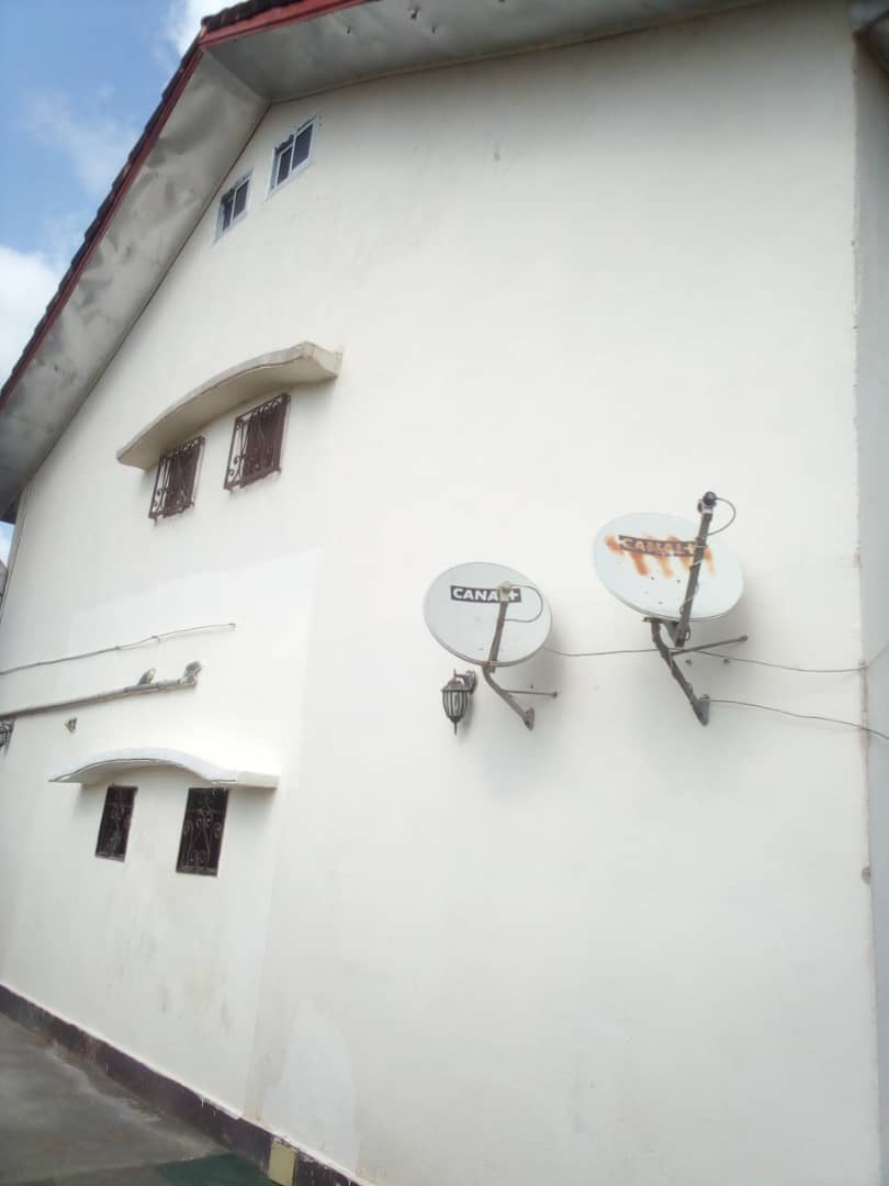 Colocación Edea 267411