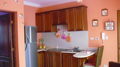 Estudio Independiente Dominicus 81544