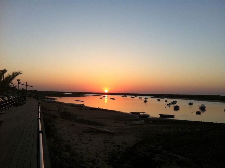 Estudio Independiente Tavira 238264