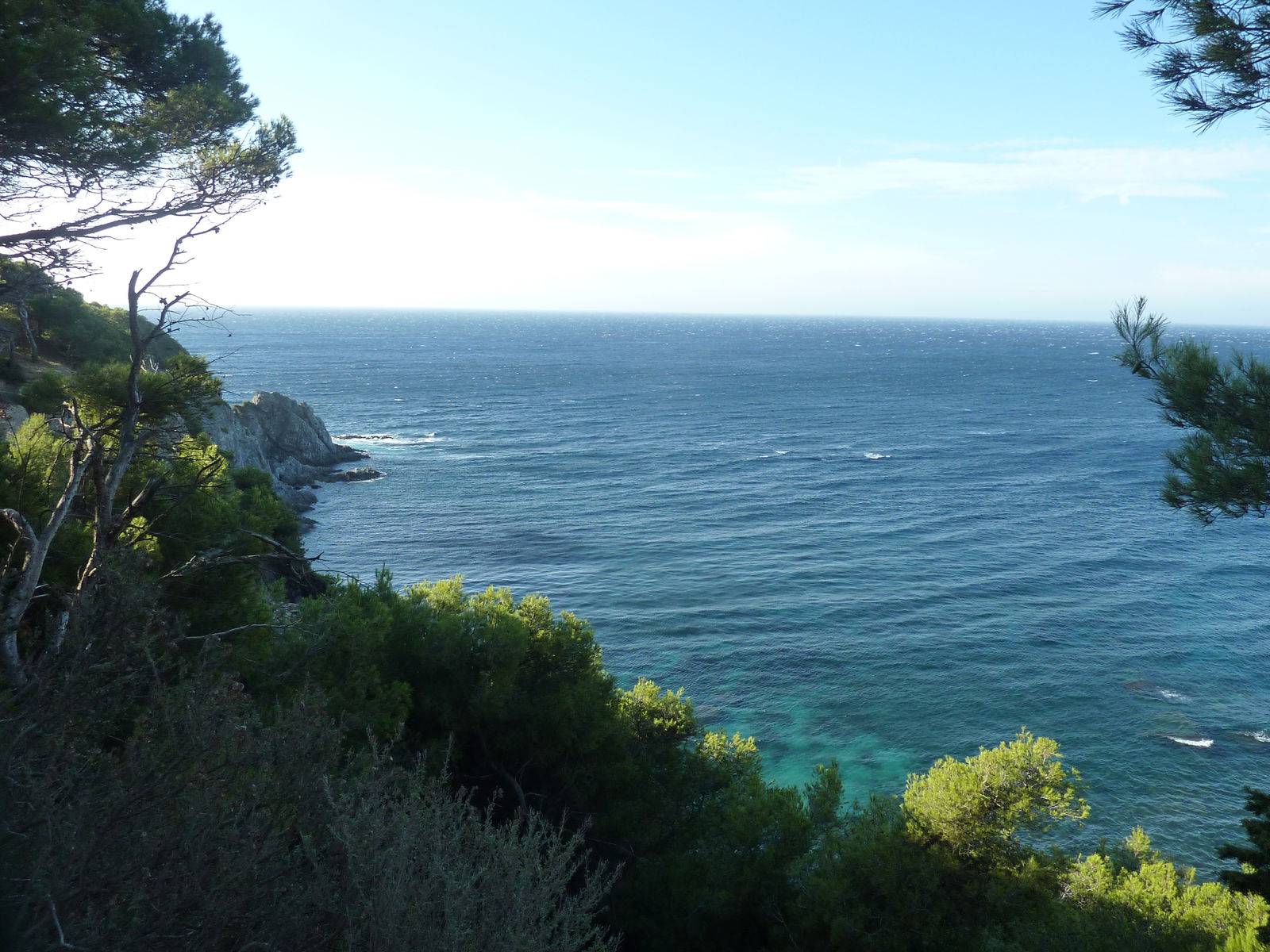 Estudio Independiente Six-Fours-les-Plages 64123