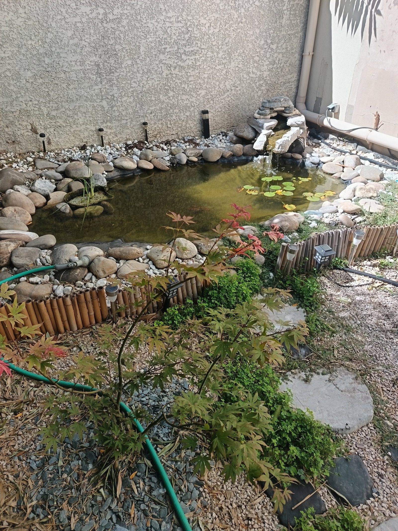 Hospedagem Em Casa De Família Le Pontet 266044