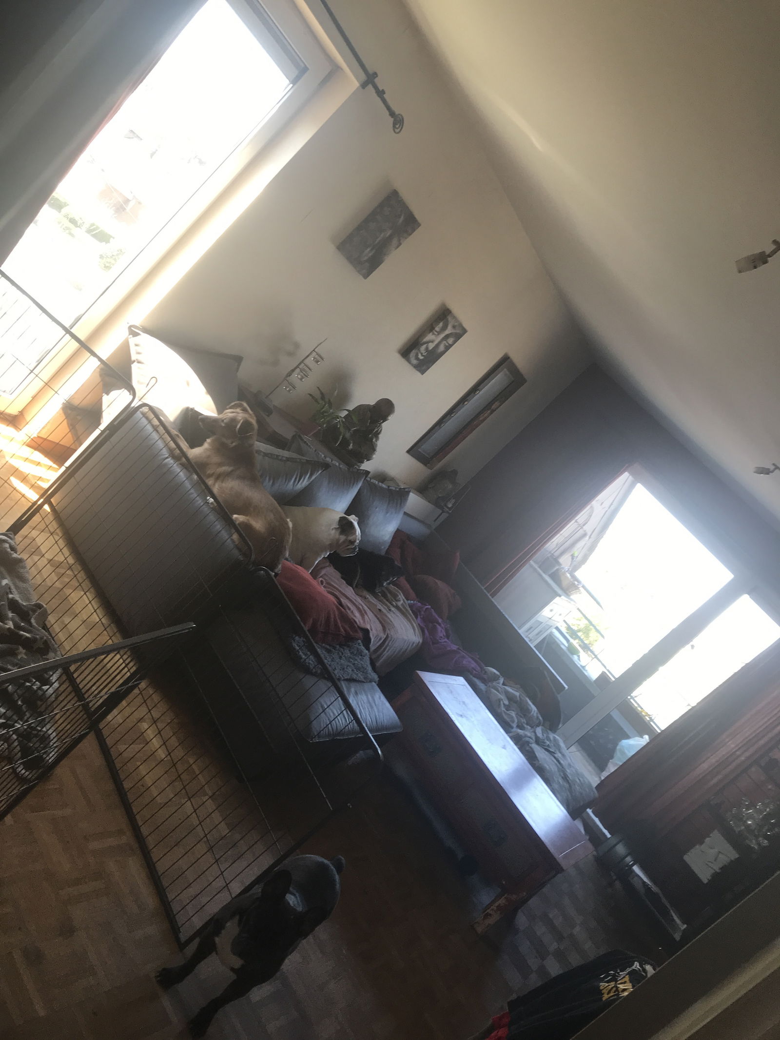 Quedarse En Casa La Louvière 248132