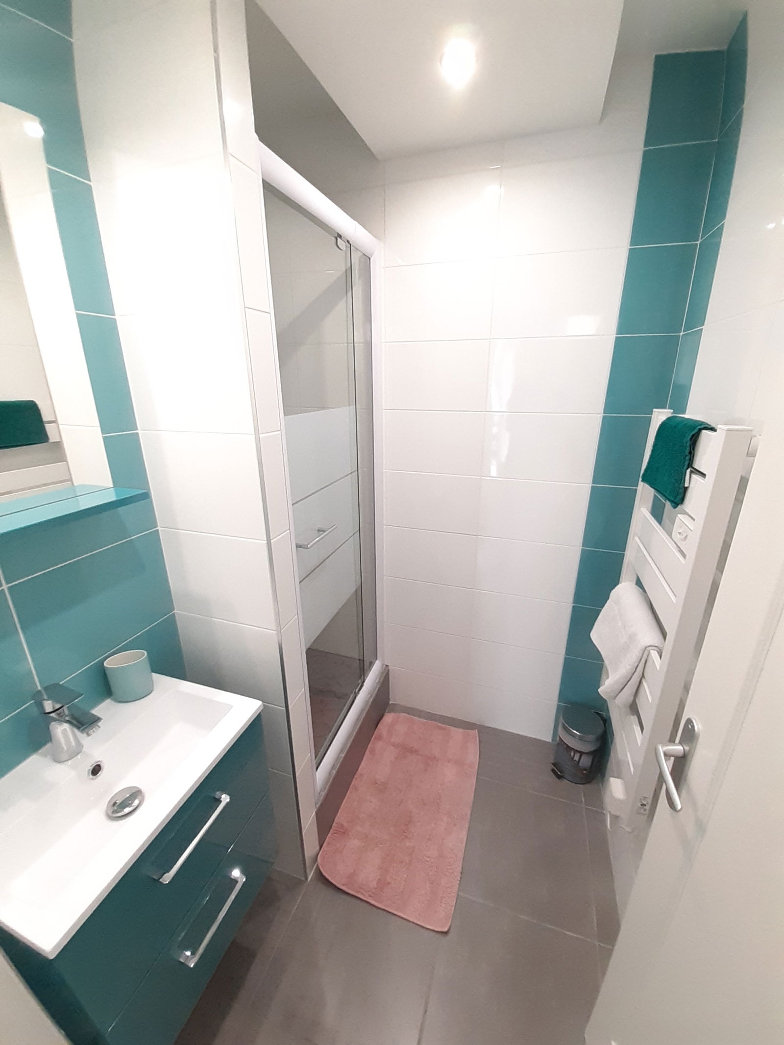 Colocación Saint-Étienne 228619