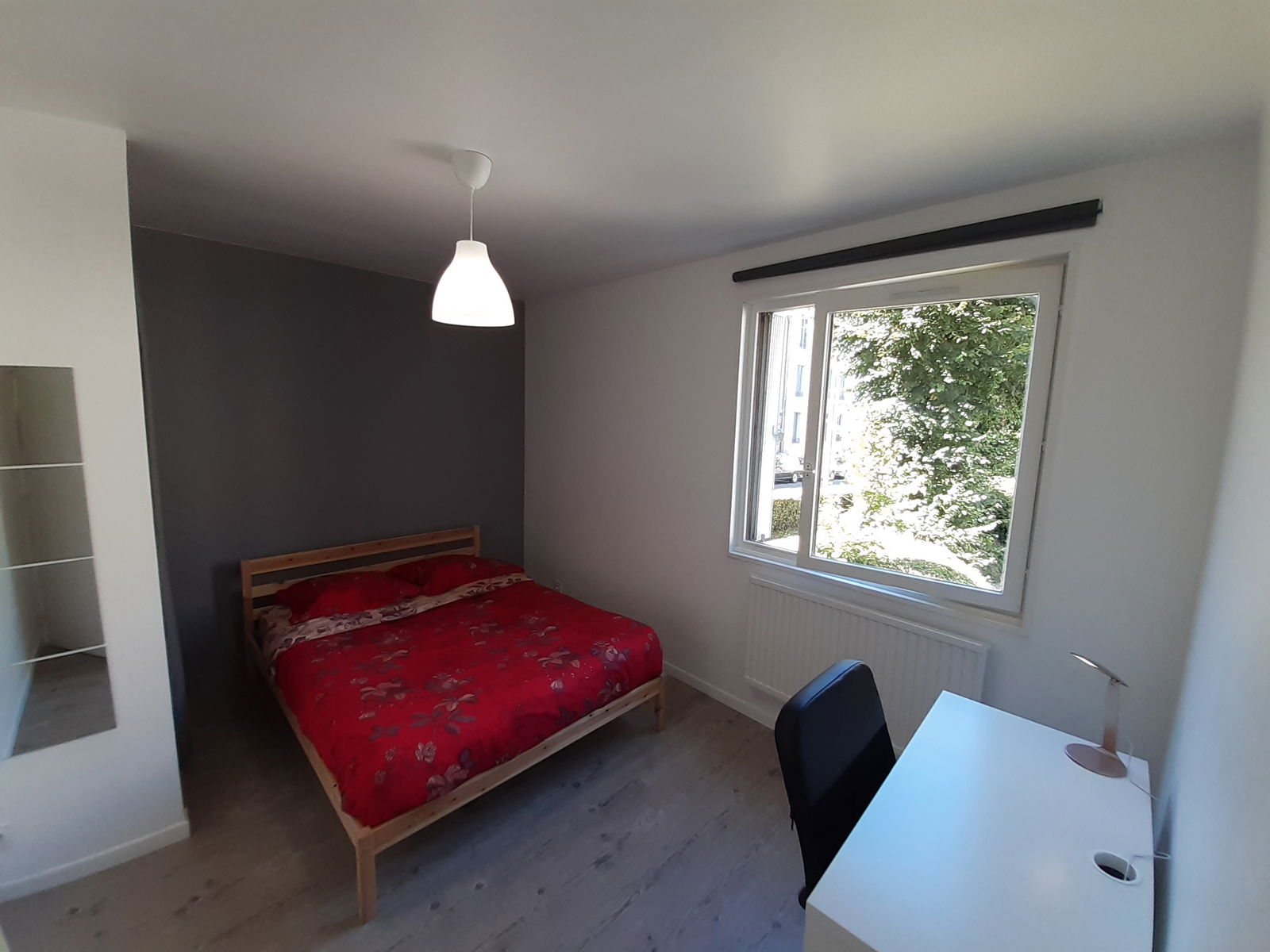 Colocación Saint-Étienne 228619