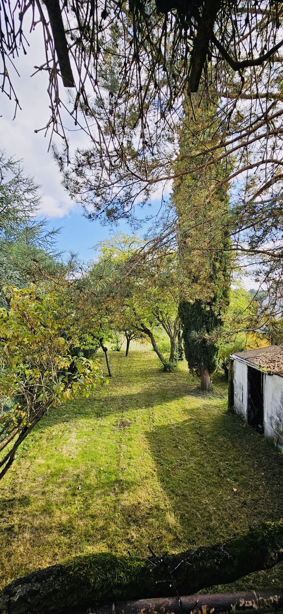 Colocação Avon 628912