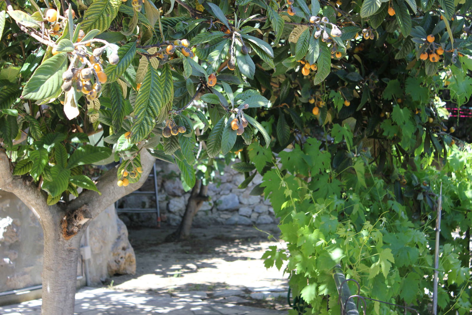 Toda La Casa La Turbie 98403